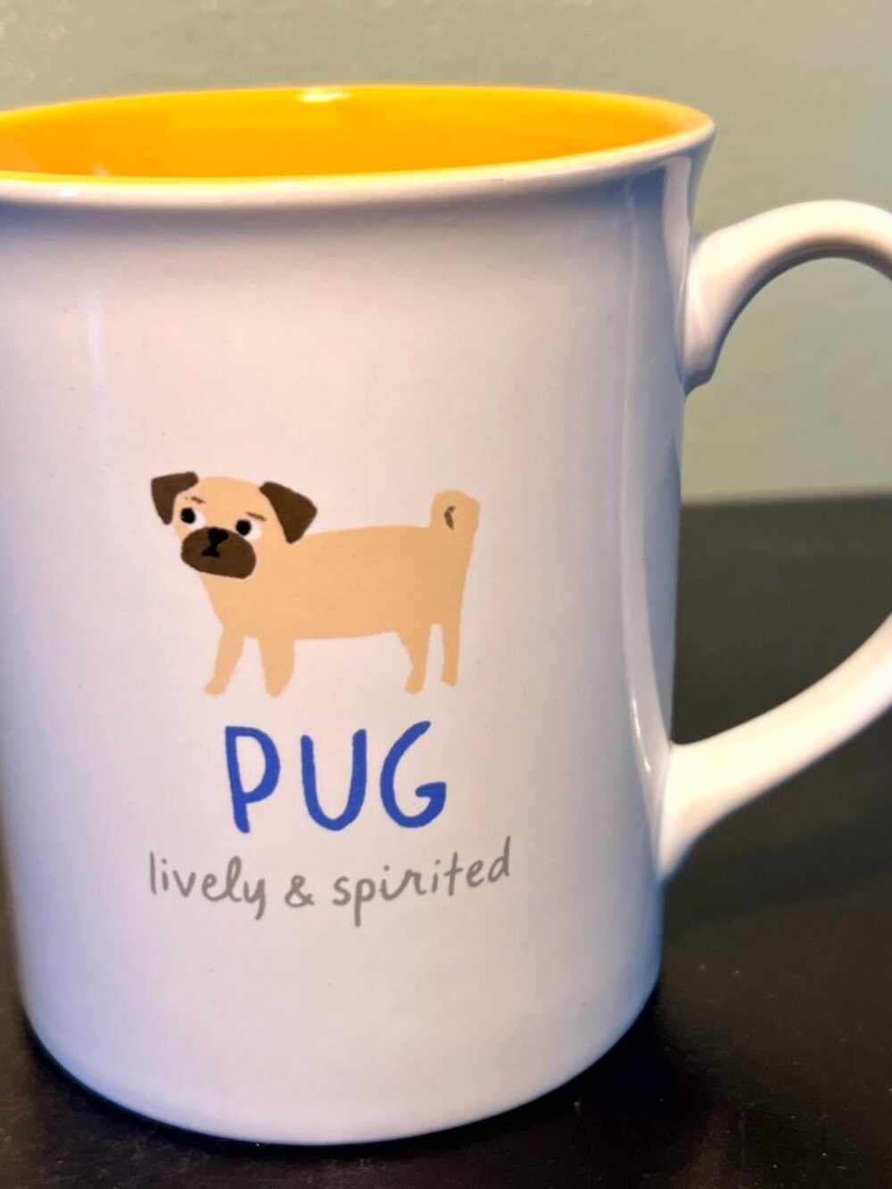 Fringe Studio Pug Coffee Mug 18oz White Yellow Lively & Spirited Dog Cup Large